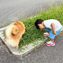 犬の「弟子」になった2歳息子　散歩中、草むらをクンクン……まさかの行動に「角度が一緒！」「かわいいお弟子さん」