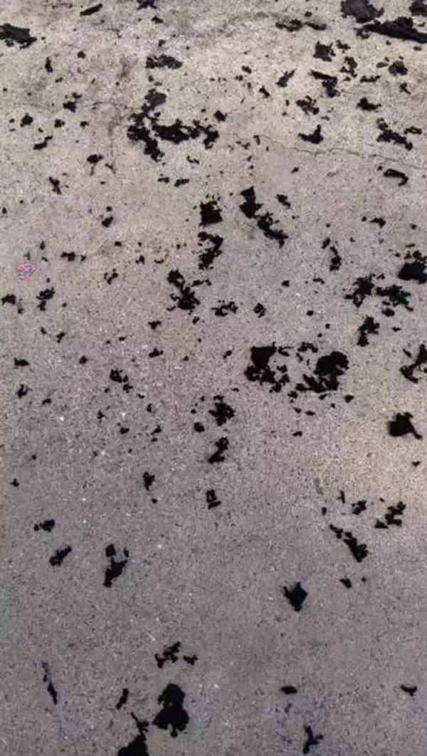 未開封だった「30年ものツアーTシャツ」→まず、洗濯したら……驚愕の姿に　「着ないとTシャツって死ぬのかな」「綿100％でもこうなるのか！」