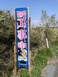 「「ガチで作業してっから」黒とピンク？ハデすぎる工事看板に思わず二度見　「平成だよね～」「ギャルが働いてるかと思った」」の画像1