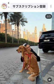 ドバイから緊急帰国したMALIA.　ドバイで別れた愛犬「置き去りですか？」に反応「置いてきた、とは違います」