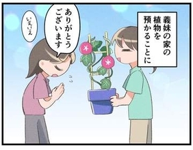 【漫画】「1日1回、昆虫用ゼリーを入れるだけ」と言われたが……いくら世話が簡単でも、虫を預かることだけは無理！なぜなら…