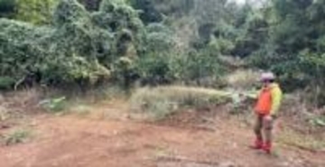 「熊スプレー」ニセモノだったら命取り…正規品との噴射差の動画に愕然…「生存率を上げる行動」とは？