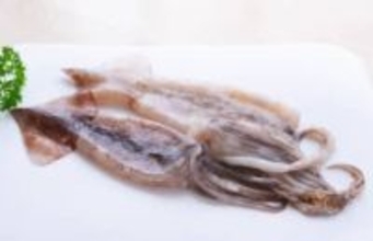 スーパーで買った、イカから……“にゅっ”と頭が出てきた！　母が悲鳴「どういう状態だったの？」