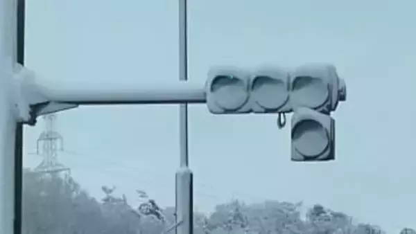 発熱しないLED式信号機は積雪時に判別できない！？→たまの雪では対策も困難　問題点を指摘する投稿に驚きや懸念の声相次ぐ
