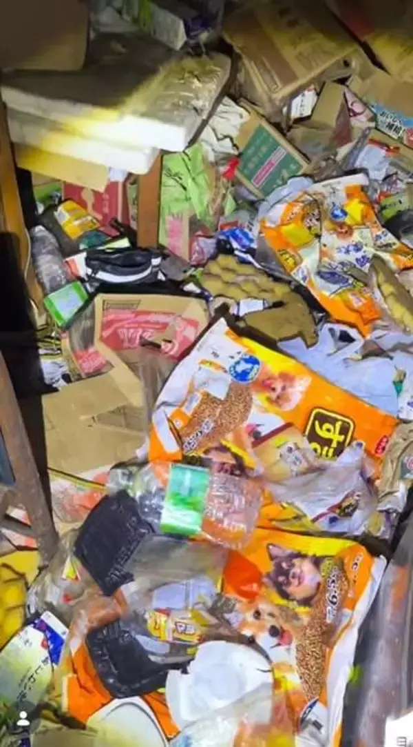 飼い主が亡くなり、ゴミ屋敷に1ヶ月放置された老犬2匹を保護「この子たちは何も悪くない」壮絶な現場の実態