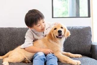 【ペットロス】ペットを亡くした人の約7割が経験　悲しみを和らげるために役立ったことは？