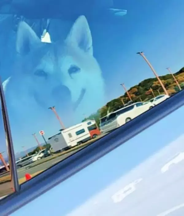 青空に浮かぶ巨大な柴犬……車内で撮れた奇跡の1枚に「映画『ターミナル』みたい」「アニメの演出っぽい」6.8万人が熱狂