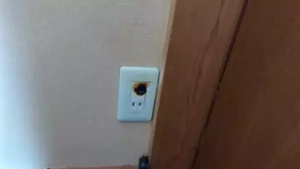 焦げ臭いにおい、実家がなくなっていたかも…老朽化したコンセントに要注意