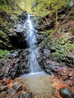 「なにこれ怖い」谷底に並んでいた、謎の“白い球体”　「かっぱやね…」「蛇やない？」お供え物説も