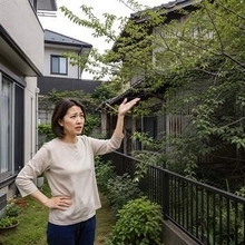 10年間放置された空き家の巨木→伸び放題の枝がわが家の敷地内に！台風時の倒木が心配です　伐採するための手続きとは？【弁護士が解説】
