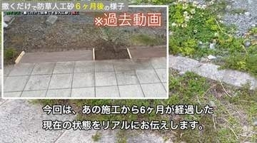 カインズの防草砂の効果を半年かけて実証実験　5cmと10cm、敷くときの厚さはどっち？
