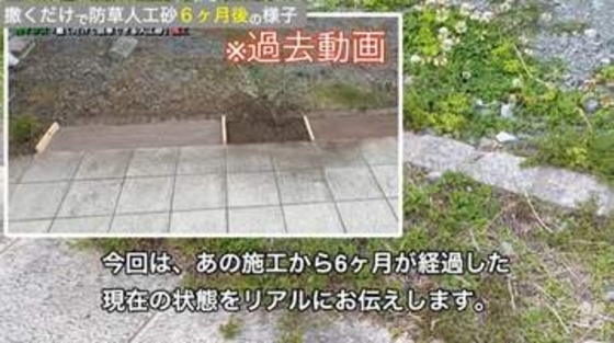 カインズの防草砂の効果を半年かけて実証実験　5cmと10cm、敷くときの厚さはどっち？