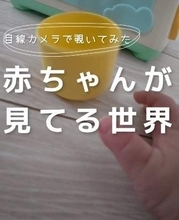 4児ママも知らない0歳児が見てる世界　目線カメラでのぞいてみると…「貴重な映像」「至高の尊さよ」