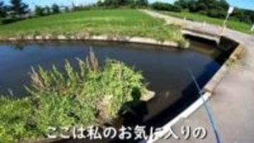 いないはずの肉食魚が埼玉の川を支配　かつての在来種はどこへ？　釣り人が見た外来魚遡上の最前線