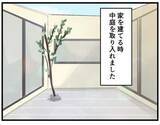 「【漫画】周囲の目を気にせず遊べる！洗濯物も干せる！最近人気の戸建ての「中庭」　ところが…実際住んでみて分かった後悔ポイント」の画像1