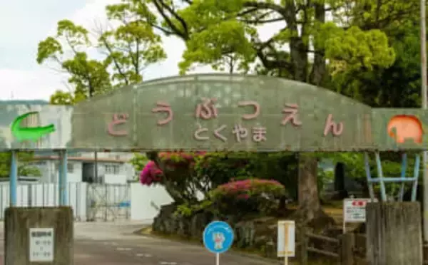 鼻ピョコピョコして「おかわり！」 「1つずつだよ」徳山動物園のゾウと飼育員の駆け引きにほっこり