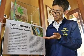 町民が発見した「しあわせのカエル」とは？　施設で公開中、鮮やかな青いアマガエルが神秘的！