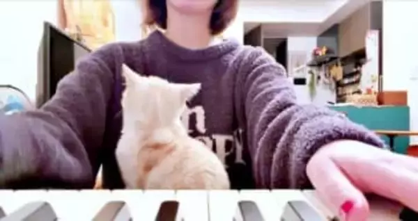 子猫の前で「恐ろしい曲」を演奏してみたら…意外な行動に驚き　「ちゃんと理解してる」「最後ちょこっと参加したｗ」