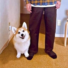 「お父さんと写真撮ろうね」愛犬が満面の笑みでポーズ→足元を見ると…　「手をつないでるつもり？」「しっかり踏んでますねえ」笑