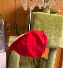 「誰か一緒に発狂して…」夫が干した赤白帽子に、妻が悲鳴　「やめろーーーーーーーー！」「うちの旦那もやらかした」