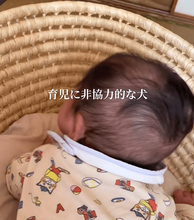 赤ちゃんが泣いても知らんぷり　へそ天でくつろぐ犬に「うちの旦那かな？」「あまりにも非協力的」とツッコミ続々