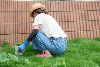 【夏の草刈り】4人に3人が「体調不良」を経験　それでも8割以上が「今年も自分でやる」現実