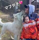「「オオカミが心を許した男」動物園のオオカミと入園者の驚きの光景が話題「羨ましい♡」「もののけ姫みたい」」の画像1