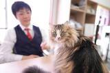 「「猫が飼える物件を増やし、猫と人がともに幸せに暮らせるまちをめざしたい」猫飼育可賃貸物件を専門に仲介する熊本の不動産会社　「社長秘書」はもふもふの看板猫」の画像1