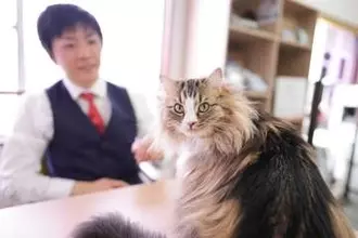 「猫が飼える物件を増やし、猫と人がともに幸せに暮らせるまちをめざしたい」猫飼育可賃貸物件を専門に仲介する熊本の不動産会社　「社長秘書」はもふもふの看板猫