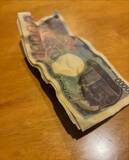 「洗濯機から「5万6000円」びしょ濡れの札束が……どうすれば？　夫婦の奮闘が大反響」の画像1