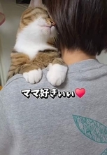 「抱っこ」の態度で、好き嫌いが一目瞭然の猫　とにかく嫌われている次男くん、切ない片思いの理由は？