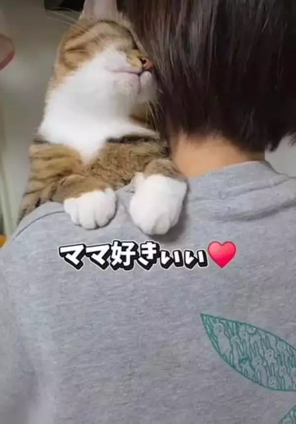 「抱っこ」の態度で、好き嫌いが一目瞭然の猫　とにかく嫌われている次男くん、切ない片思いの理由は？