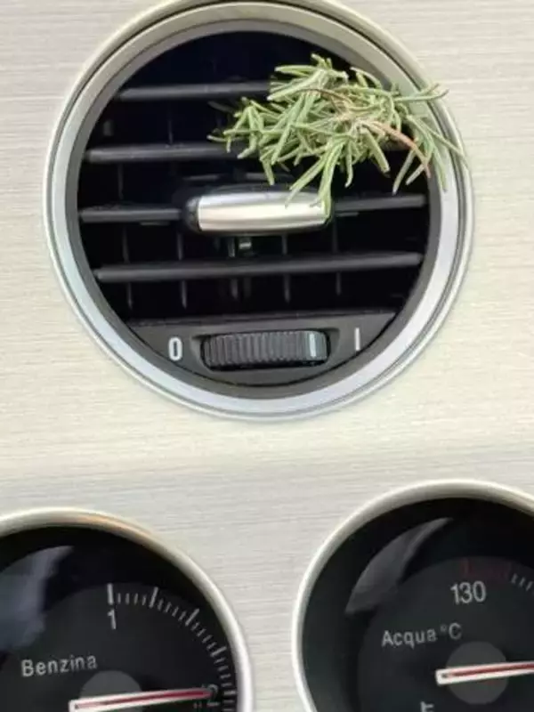 車のエアコン吹き出し口にブッ刺すだけ　目からウロコの芳香剤　優しい香りが心地いい「これはいいかも」「お肉食べたくなっちゃう」
