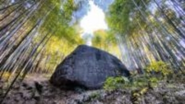 誰が、いつ、何のために…？山の上に鎮座する重さ推定800トンの巨石　「益田岩船」の謎に迫る