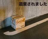 「手紙に「すごくいい子です」…子猫を保護施設の前に置きざり「手紙は、身勝手な人間が自分の気持ちを少しでも楽にするため」」の画像1