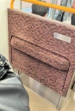 ドア横の壁がパカッと座席に…JR西日本の“補助座席”に驚き　「関東の常識では考えられない」実際に座ってみると…？