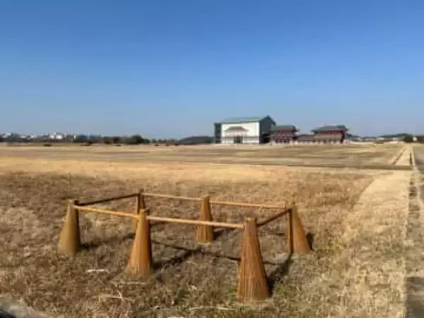 「古都ならではの美意識ですね」奈良の平城宮跡に設置されたカラーコーンが雅すぎる