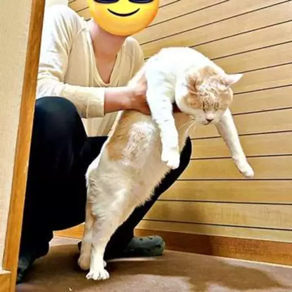 ダメだ、食べられちゃう…お兄ちゃんに抱っこされた猫の絶望顔に「この世の終わりみたい」「もうあかんって感じ」