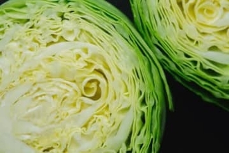 リュウジ「鍋にぶち込むだけ」キャベツ鶏塩鍋　ふたして煮込むだけ「リュウジ信じてるからな」