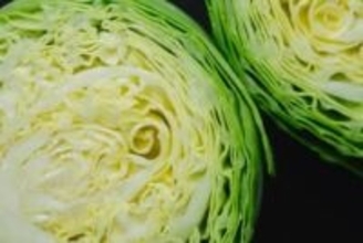 リュウジ「鍋にぶち込むだけ」キャベツ鶏塩鍋　ふたして煮込むだけ「リュウジ信じてるからな」