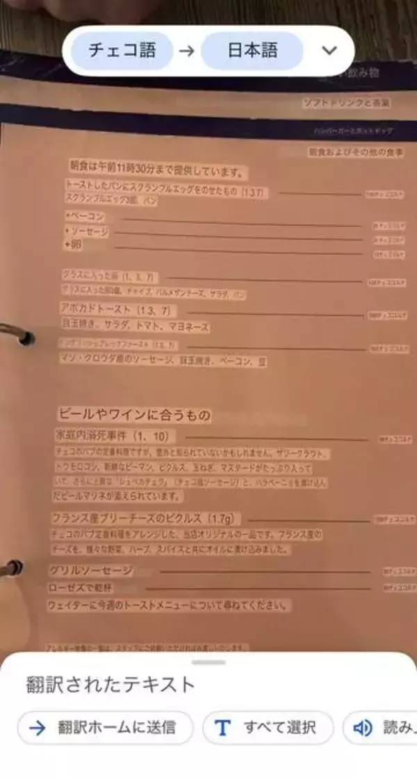 メニューを翻訳したら「家庭内溺死事件」！？って、どんな料理なん！　試しに注文してみたら…