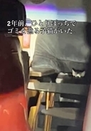 ひとりぼっちで「ゴミを漁る子猫」を保護　「どうしようもない猫」と言われ…「子猫に罪はないのに」救った女性の思い