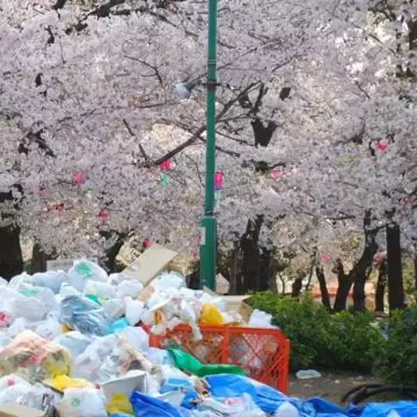 「ゴミ箱が満杯だから」花見の後、公園のゴミ捨て場近くに置いて帰った会社員→後日、警察から連絡が！【弁護士が解説】