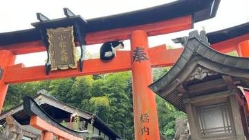 伏見稲荷大社の鳥居で堂々とくつろぐ猫さんが「神々しい」　撮影者「神にゃんつくだったかもしれない」
