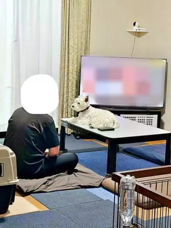 「テレビより私を見て？」パパの目の前に陣取る犬に1.4万いいね　あまりにも健気な熱烈アピールのちょっと切ない結末
