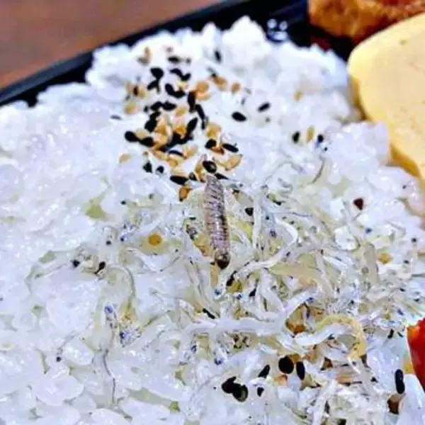 「ちりめんじゃこに混入？ ダンゴムシそっくりの謎の生物　「これはビビりますね」SNS騒然→食べても問題ない？　有識者の答えは」の画像