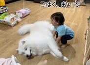 「おいで！」「いるよ♡」→「…」　1歳の男の子とワンちゃんの、微妙にかみ合わないやりとりにほっこり「どっちもかわいすぎ」