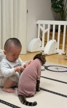 1歳息子が猫の体にメジャーを！？　なにしてるの？　飼い主が語る“優しい兄弟”の関係