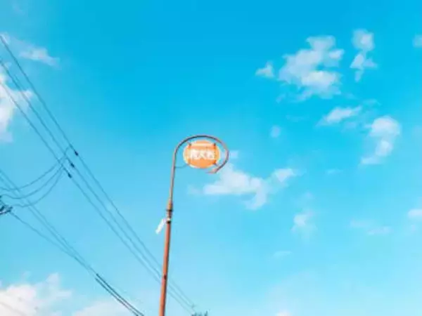 4歳児が撮影した写真「子どもにしか撮れない写真ですね」「愛おしくて泣けてくる」きっかけは父の一言