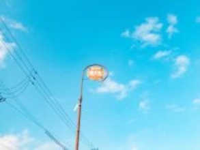 4歳児が撮影した写真「子どもにしか撮れない写真ですね」「愛おしくて泣けてくる」きっかけは父の一言